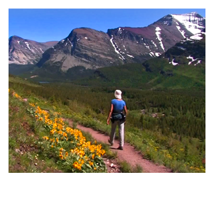 Great Hikes