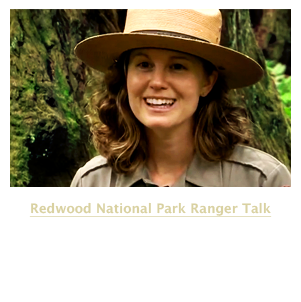 Redwood Ranger Talk