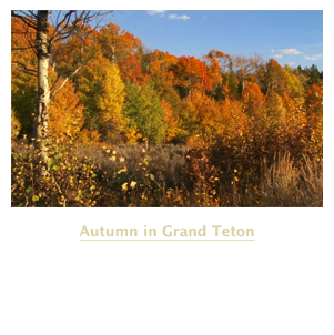 Autumn in Grand Teton