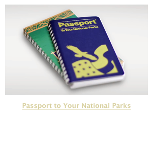 Passport