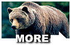Explore more of your favorite National Park destinations!